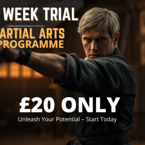 Beginner 2 Week Trial Course