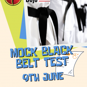 mock BB test 9th june